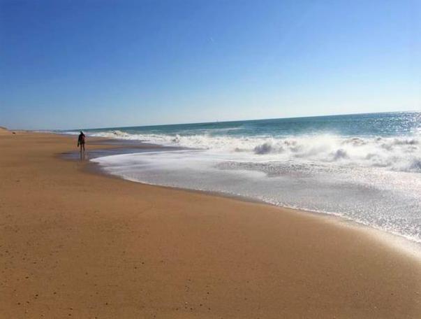 Appart Breti Plage 2 - Duplex Brétignolles-sur-Mer Dış mekan fotoğraf